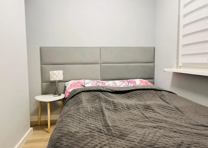 Stronie & Summer Apartment