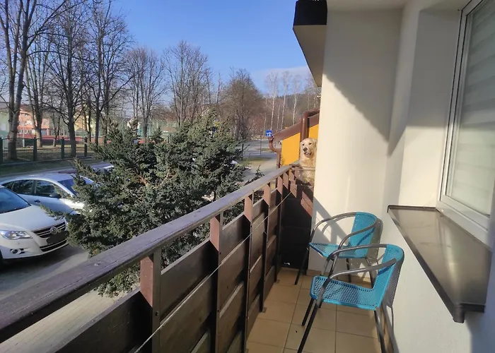 Stronie & Summer Apartment Stronie Slaskie